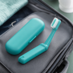 Travel-Ready Compact Brush with Protective Case